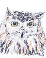 Funky Owl Portrait III Fine Art Print