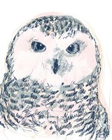 Funky Owl Portrait IV Fine Art Print