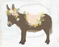 Dainty Burro I Fine Art Print