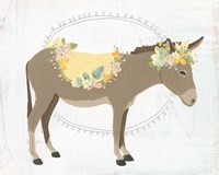 Dainty Burro II Framed Print