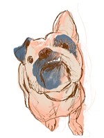Dog Portrait--Bobo Fine Art Print