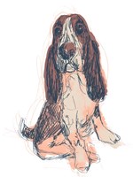 Dog Portrait--Ajax Fine Art Print