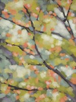 Dappled Dusk I Framed Print