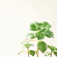 Succulent Simplicity X Neutral Fine Art Print