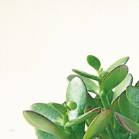 Succulent Simplicity IV Neutral Fine Art Print