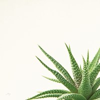 Succulent Simplicity II Neutral Fine Art Print