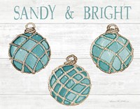Coastal Holiday Ornament VIII Sandy and Bright Fine Art Print