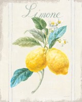 Floursack Lemon III v2 Framed Print