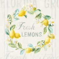Floursack Lemon V Fine Art Print