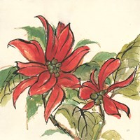 Poinsettia II Fine Art Print