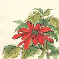 Poinsettia I Fine Art Print