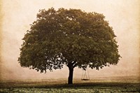 The Hopeful Oak Fine Art Print