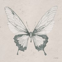 Soft Summer Sketches V Fine Art Print