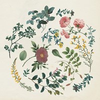 Victorian Garden II Framed Print