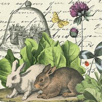 Garden Rabbit II Fine Art Print