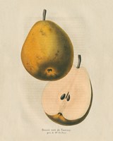 Tournay v2 Fine Art Print