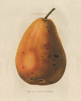 Pierpont v2 Fine Art Print