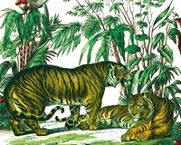 Jungle Flair V Fine Art Print