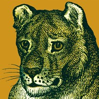 Jungle Flair IV Fine Art Print