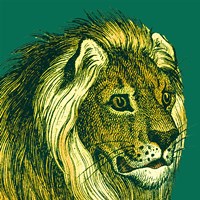 Jungle Flair III Fine Art Print