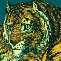 Jungle Flair II Fine Art Print