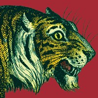 Jungle Flair I Fine Art Print