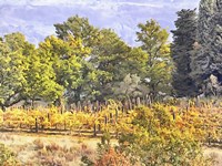 Tuscan Countryside In Autumn Fine Art Print