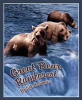 Great Bear Rainforest Fine Art Print