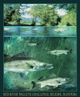 Red River Fine Art Print