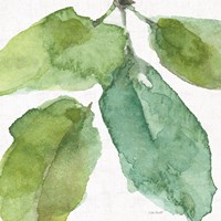 Blue and Green Garden VIII Fine Art Print