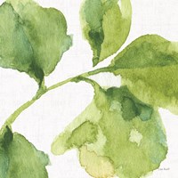 Blue and Green Garden VII Fine Art Print