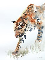 Slowly Does It Fine Art Print