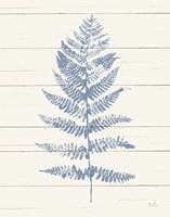 Fern Print II Blue Crop Fine Art Print
