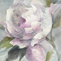 Twilight Peony Fine Art Print