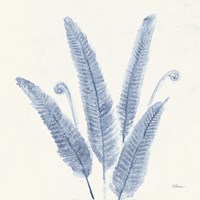 Forest Ferns II v2 Blue Fine Art Print