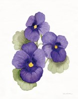 Easter Blessing Flower IX Fine Art Print