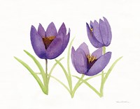 Easter Blessing Flowers VII Framed Print