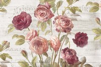 French Roses I Fine Art Print