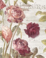 French Roses II Fine Art Print