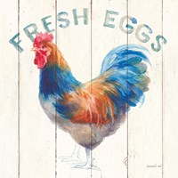 Fresh Eggs Hen Fine Art Print