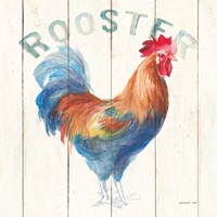 Rooster Framed Print