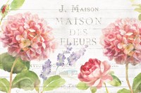 Maison Des Fleurs II Fine Art Print