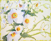 Morning Light has Broken Fine Art Print