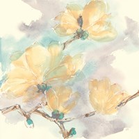 Magnolias in White II Fine Art Print