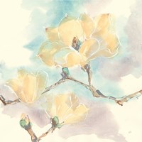 Magnolias in White I Fine Art Print