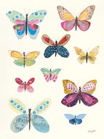 Butterfly Charts I Framed Print