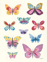 Butterfly Charts II Fine Art Print