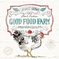 Down on the Farm V Framed Print