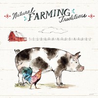 Down on the Farm III Framed Print