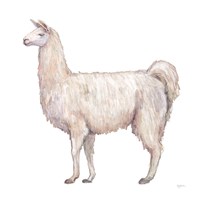 Bohemian Cactus Llama Fine Art Print